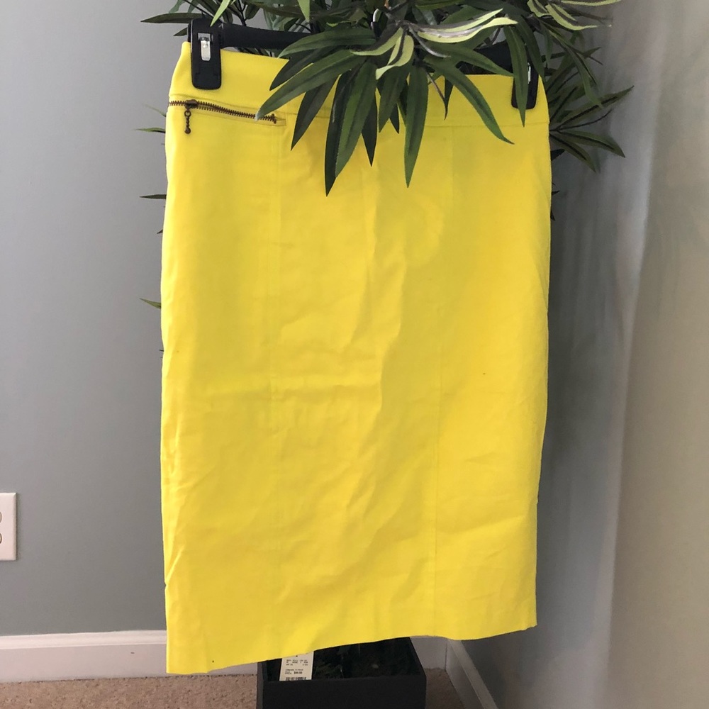 Massimo skirt